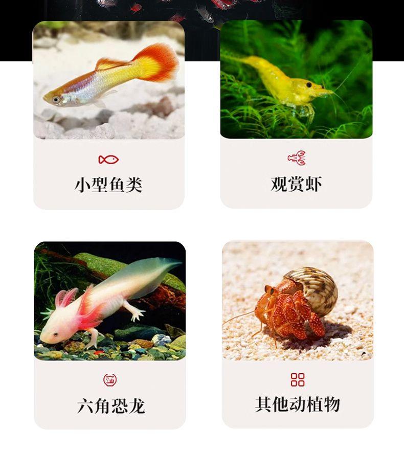 Product Introduction of Plastic Fish Tank Living Room Home Lazy Water Tank Desktop Cartoon Landscape Aquarium Ecological Creative Fish Globe 8