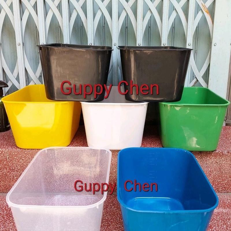Khay Nhựa Nuôi Cá 7 Lít kích thước 30x20x16cm
