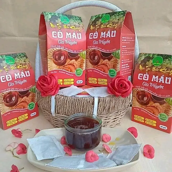 Trà túi lọc Cỏ Máu ,sản phẩm từ thiên nhiên-- Tea Thoát kiếp gầy nhờ uống cây cỏ máu. tratang tet 1
