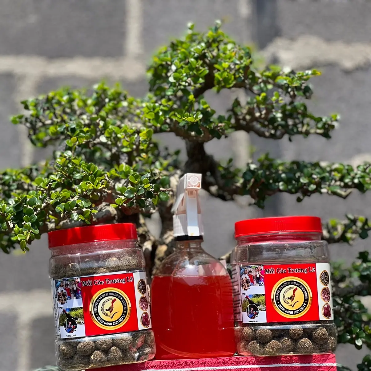 combo mua 2 mồi kỉ niệm 1 om