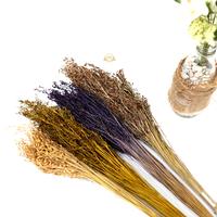 Gambar BUNGA WILDERY GRASS / BUNGA WILDERY DEKORASI HIASAN RUANG TAMU dari Hopedekorasi Kab. Sleman 2 Tokopedia