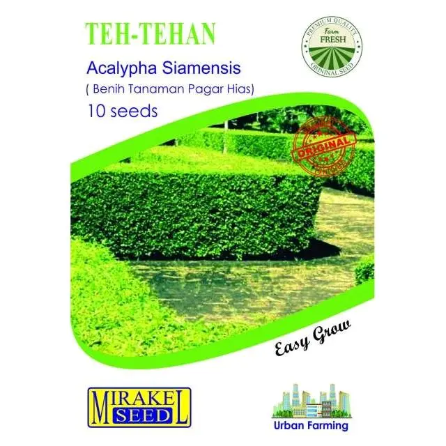 benih teh tehan 10 biji per pack