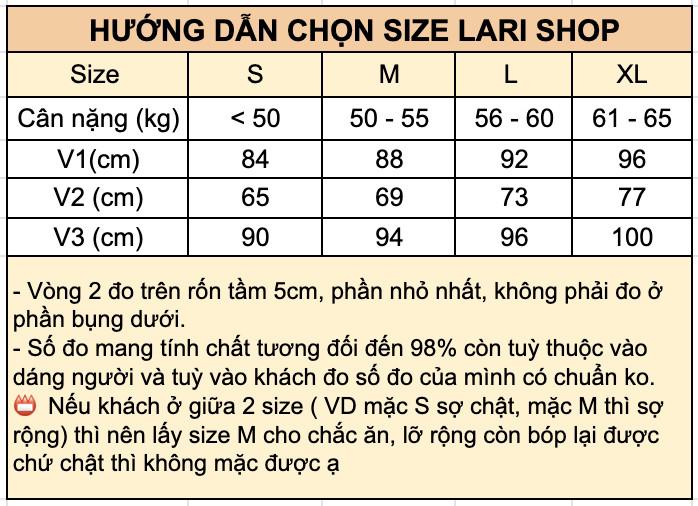 Product Introduction of Đầm cánh tiên ren cao cấp SL 0