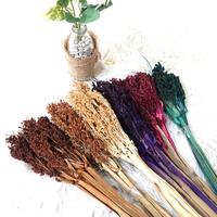 Gambar BUNGA WILDERY GRASS / BUNGA WILDERY DEKORASI HIASAN RUANG TAMU dari Hopedekorasi Kab. Sleman 1 Tokopedia