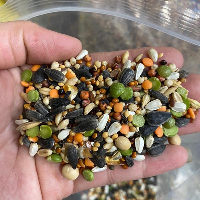 ngũ cốc vẹt thức ăn cho chim vẹt túi 1 kg