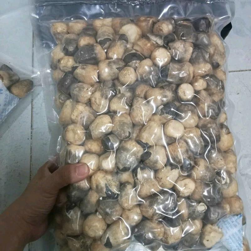 100g Nấm Rơm Mecco Sấy Thăng Hoa 3