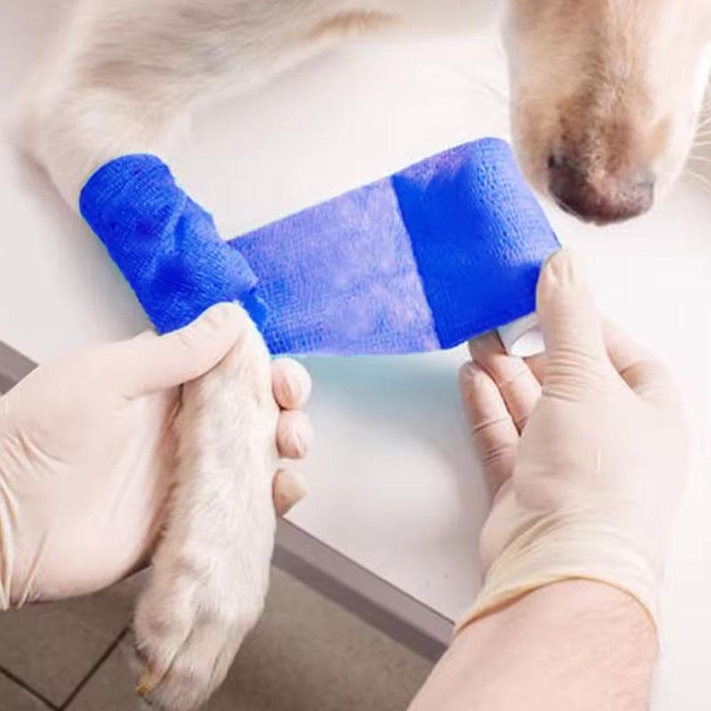 Product Introduction of Pet Elastic Self-Adhesive Bandage Sports Compression Elastic Patch Tape A0R6 27