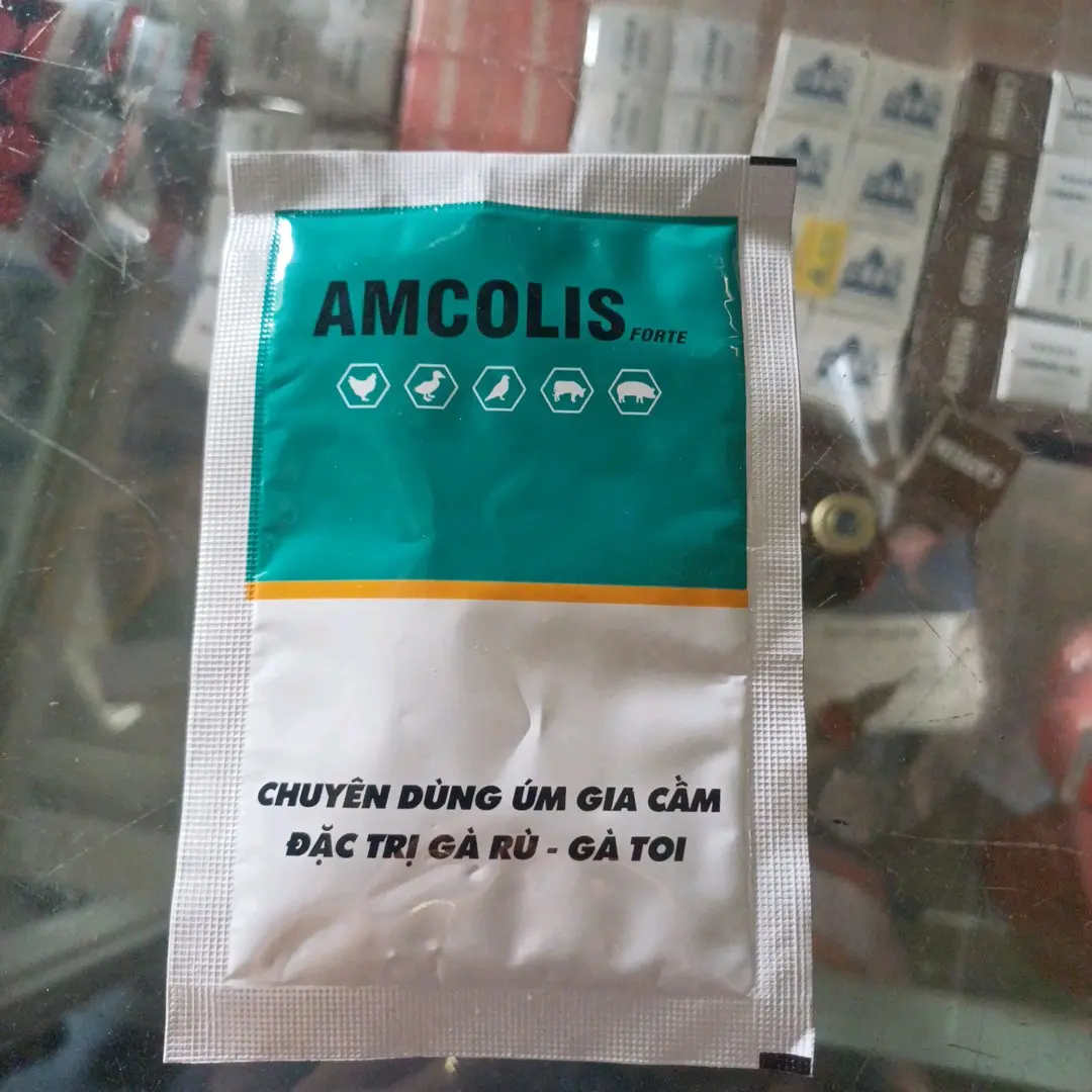 Gà rù, gà roi Ampicoli( 10g)