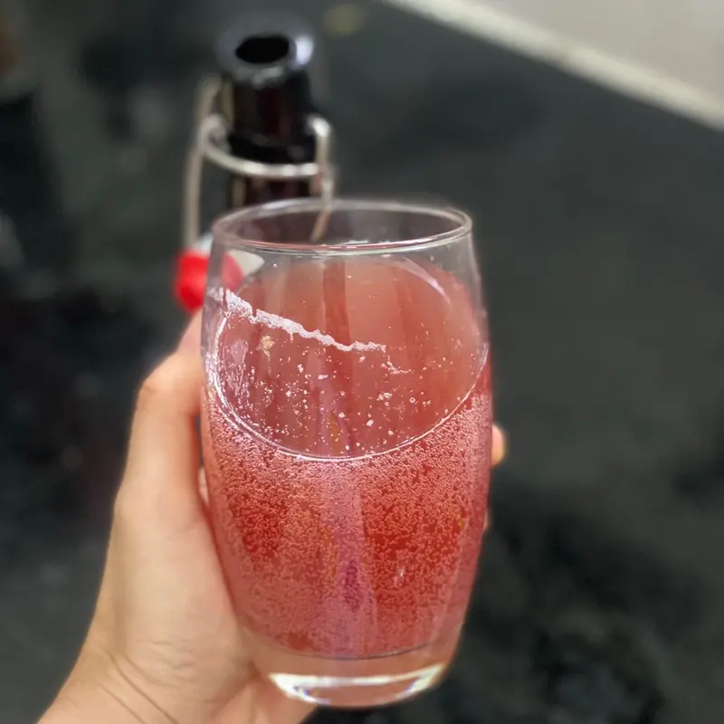 Set Trà Kombucha 4 Món Tự Nhiên Tea Nước Trà 4