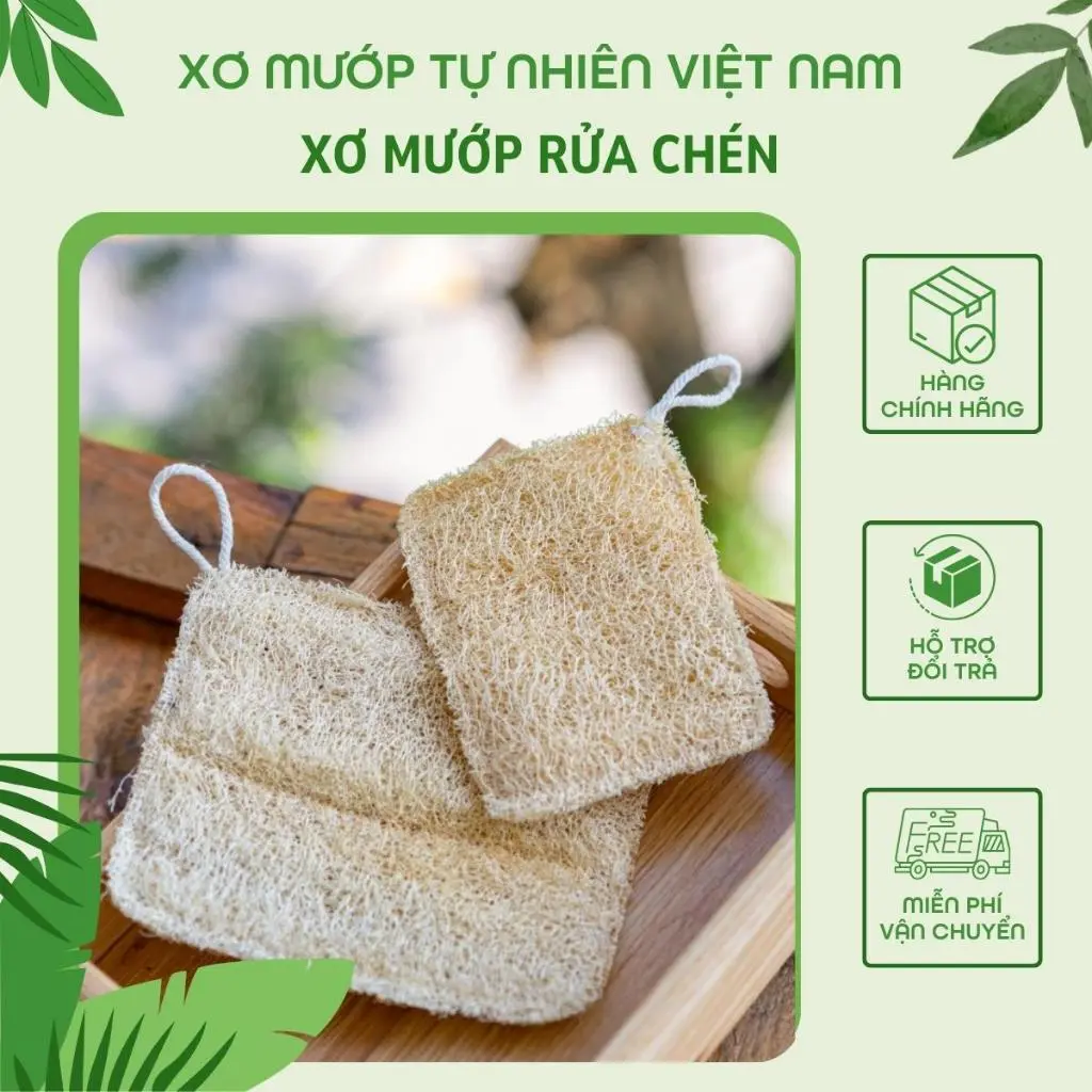 Miếng rửa bát xơ mướp chữ nhật KB Ecolife không chất tẩy trắng tạo bọt mịn rửa sạch chén bát không gây trầy xước mieng  coruaxong rua