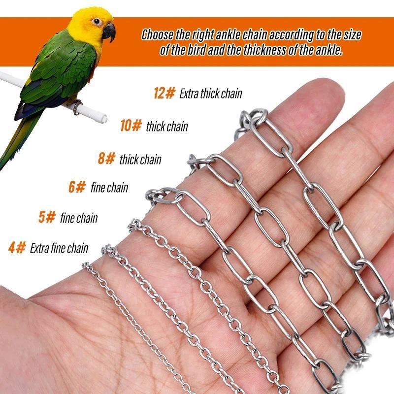 Bird Chain Bird Parrot Foot Chain Stainless Steel Ankle Foot Ring Stand Chain ...