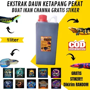 Ekstrak Daun Ketapang Pekat 1 liter jurigen untuk Channa dan Cupang TERLARIS