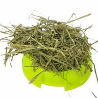 Gambar HamsBunny - Rumput kelinci Timothy hay 500gr makanan kelinci pencegah diare - Spesifikasi dari Pets Kampong Kota Administrasi Jakarta Utara 4 Tokopedia