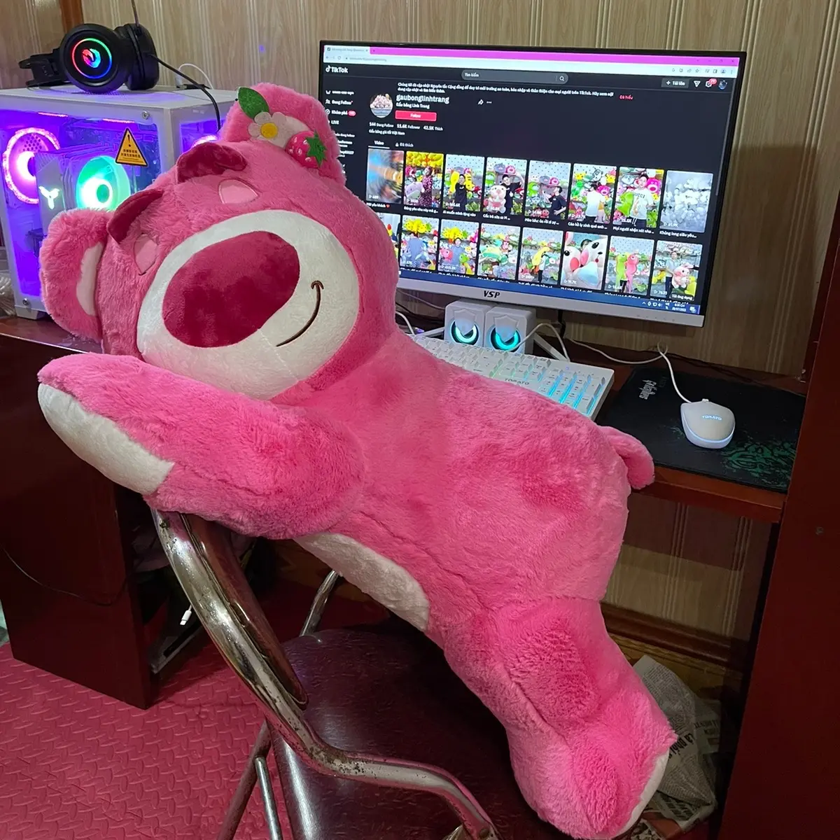 Gấu Bông Gấu Dâu size 65cm - 90cm