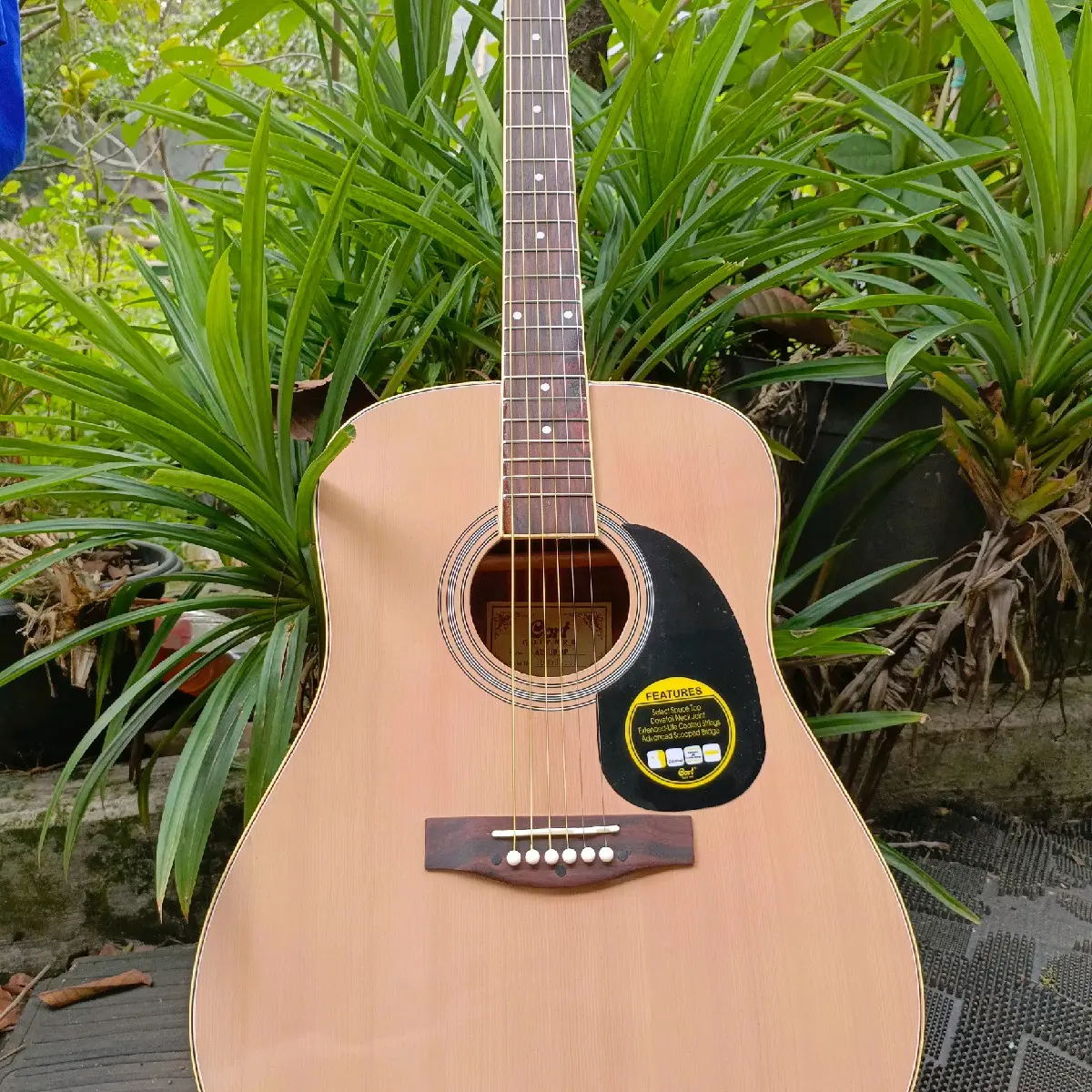 Gitar Akustik Premium Jumbo Cort Natural