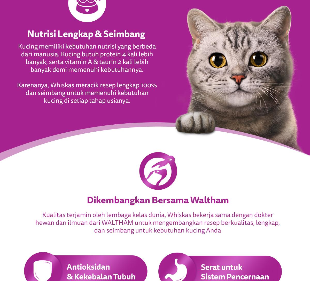 Product detail media - 2