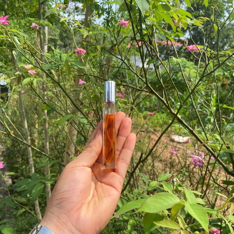 Dầu quế dạng xịt thơm lâu 0
