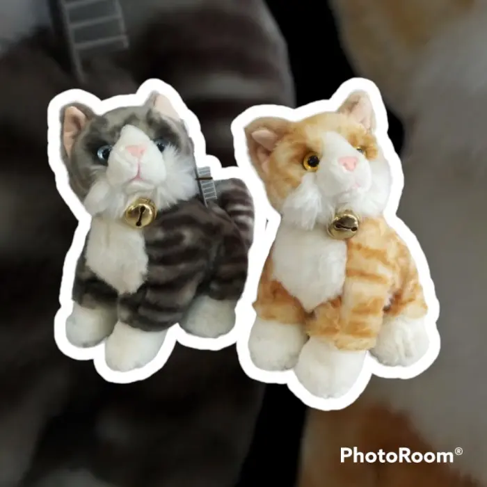 Boneka Cleo Cat 10' boneka Kucing kalung lonceng kepala nengok lucu bagus mirip asli (05020455) by seulgi Dolls Toys Mainan 1