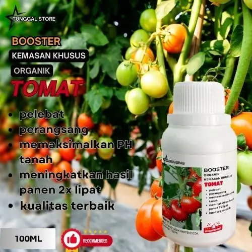 Pupuk Organik Penyubur Tomat dan Perangsang Tomat Terbaik Cepat Berbuah Lebat Nutrisi Tomat Organik