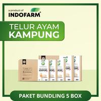 Gambar [BUNDLING 5 BOX] Telur Ayam Kampung Asli - Telur Mengandung Omega 3 dari Indofarm Product Kota Administrasi Jakarta Utara 1 Tokopedia