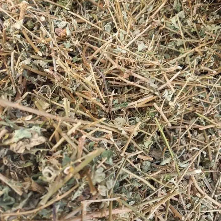 1kg cây cà gai leo khô