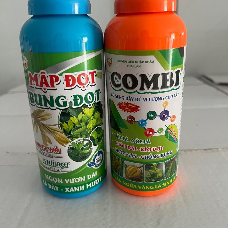 bộ đôi phân bón mập đọt bung đọt+ combi chai 500ml