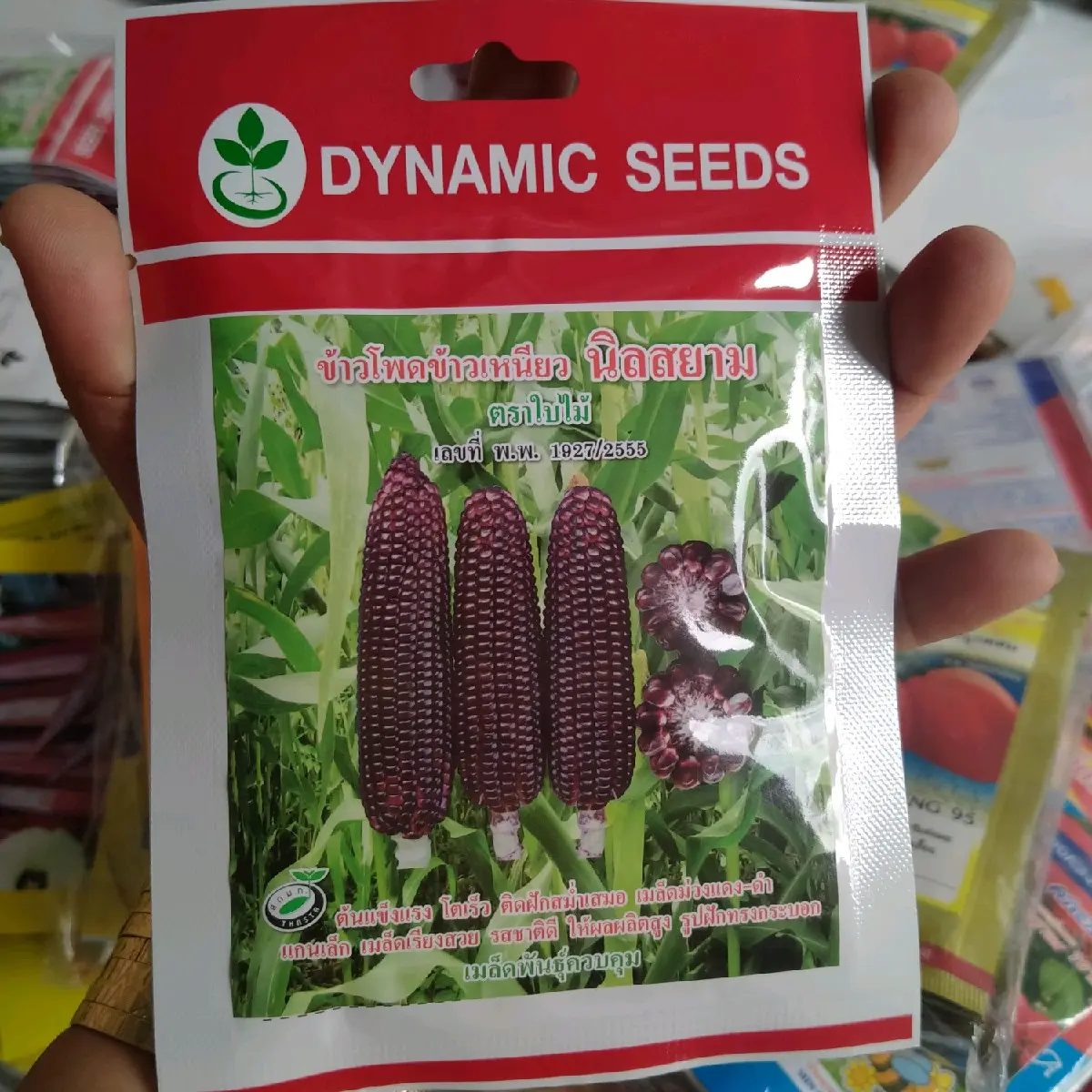 5 .G.ÓI B.ẮP T.ÍM