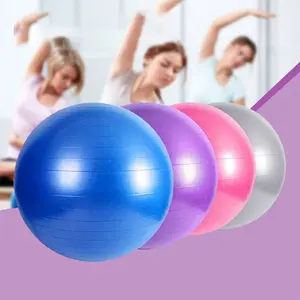 ST Yoga Ball Bola Alat Fitness Gym 55 Cm Tampa Pompa