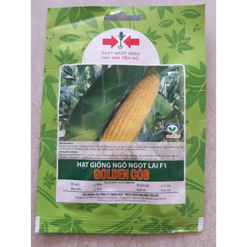  Hạt giống ngô ngọt golden cob hai mũi tên đỏ gói 50 Gam 