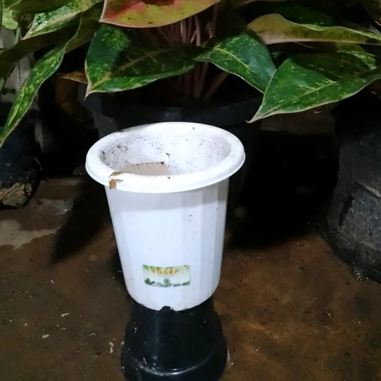 pot Yogap plastik