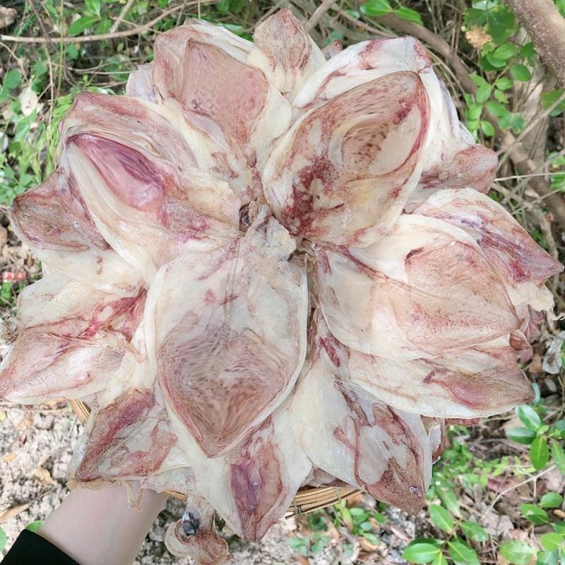 Khô mực size 50-55con 1kg (1kg=55con) Hàng loại 1  Mực ống bầu Sông Đốc Cà Mau