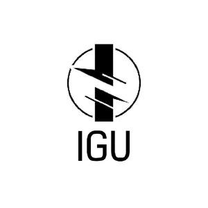 igustudio