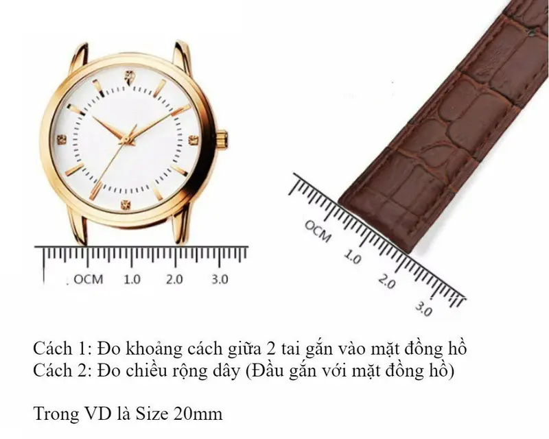 Dây Da Đồng Hồ Vân Cá Sấu - Hộp Gỗ - Tặng Kèm Thiết bị tháo lắp 8
