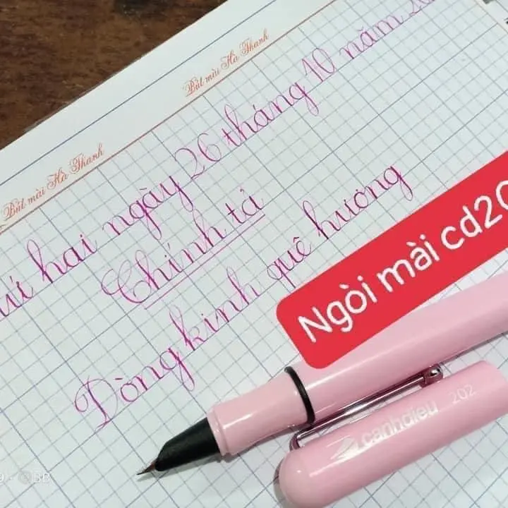 Bút cd202 - Ngòi mài nét mảnh - Thích hợp viết bài thường ngày và luyện chữ đẹp, vỏ nhựa nhẹ, ngòi mài thủ công 3