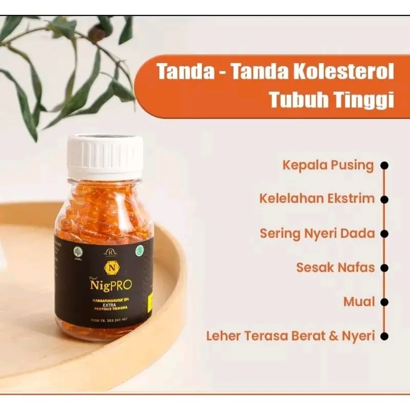 NIGPRO Ecer isi 30 kapsul Habbatusauda Oil bantu turunkan kolesterol dengan cepat Kesehatan Otak