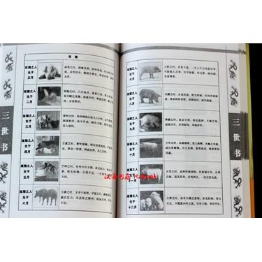 Product Introduction of 100% Quality Hanzhou BookstoreSan Shi Shu Zhuge Liang San Shi Shu Fortune Telling Three Lives: Know Your Past, Present, And Next Life A Book That Can See Your Past, Present, And Future Lives Feng Shui FS 5