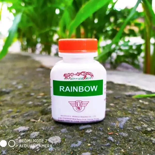 RAINBOW Doping Penambah Stamina Tenaga Agresifitas Serta Birahi Ayam dan Merpati