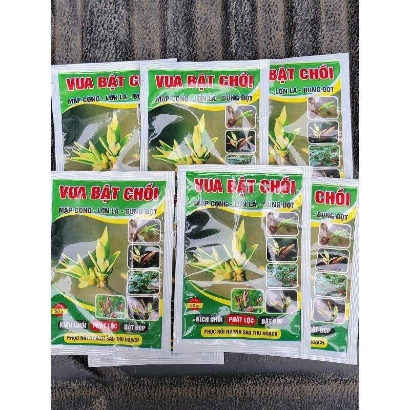 Combo 10 Gói Vua Bật Chồi gói 50gram Phân Bón Lá Kích Chồi Phát Lộc Bật Búp Sau 5-7 ngày - Vật Tư Nông Nghiệp 24h