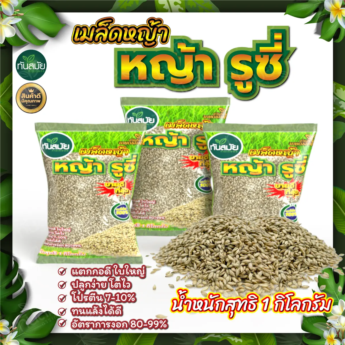 เมล็ดหญ้ารูซี่ 1 กิโลกรัม ทนแดด ทนฝน หญ้าแข็งแรง ปลูกเกิดง่าย #เมล็ดหญ้า #หญ้ารูซี่ #หญ้า #เมล็ดหญ้าให้วัว