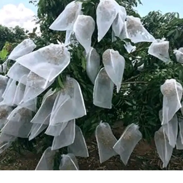 BRONGSONG BUAH KELENGKENG/BRONGSONG KAIN BISA DI CUCI Kelengkeng