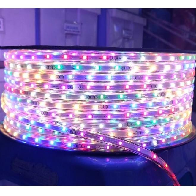 [30M] Led Dây 2835 Nhiều Màu Đuổi,1 Mét Có 48 Led Đúc Chống Nước Trang Trí Ngoài Trời, Sân Vườn, Nhà Cửa (tặng kèm nguồn nháy). 2