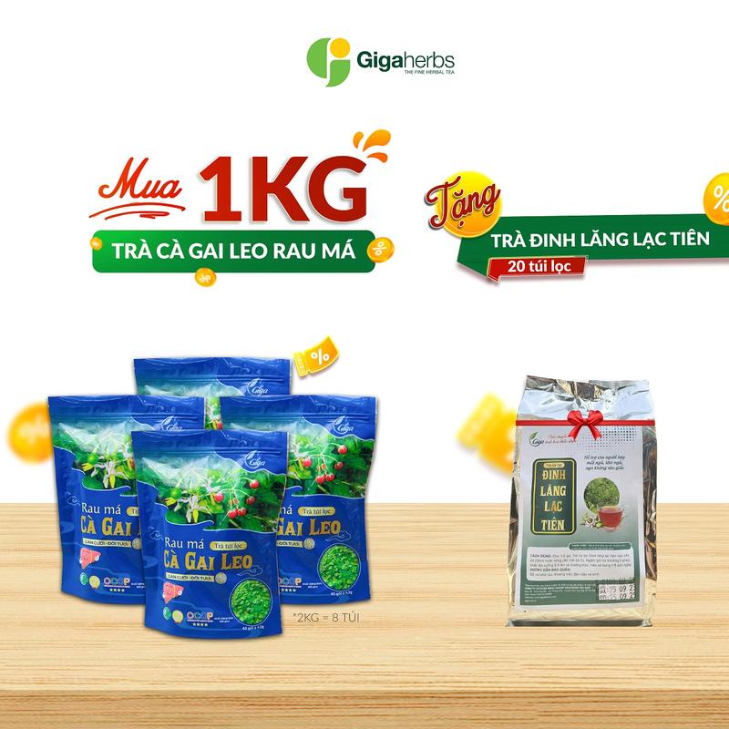 Mua 1 Kg Trà Cà Gai Leo Rau Má + Tặng 1 Túi Trà Đinh Lăng Lạc Tiên 20 Túi Lọc