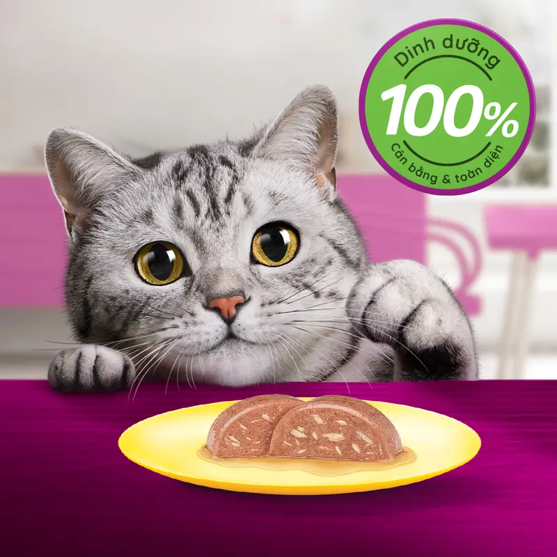 Thùng Thức Ăn Cho Mèo Lớn Dạng Sốt Pate WHISKAS - 28 gói 2