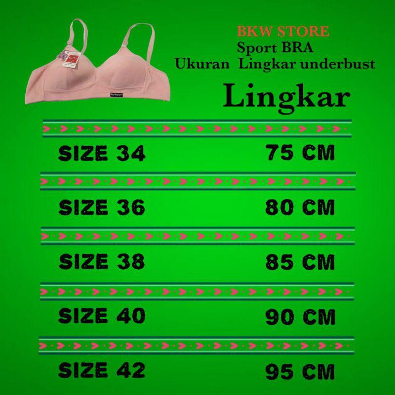 Product Introduction of 6pcs BH SPORT|BRA SPORT WANITA 0