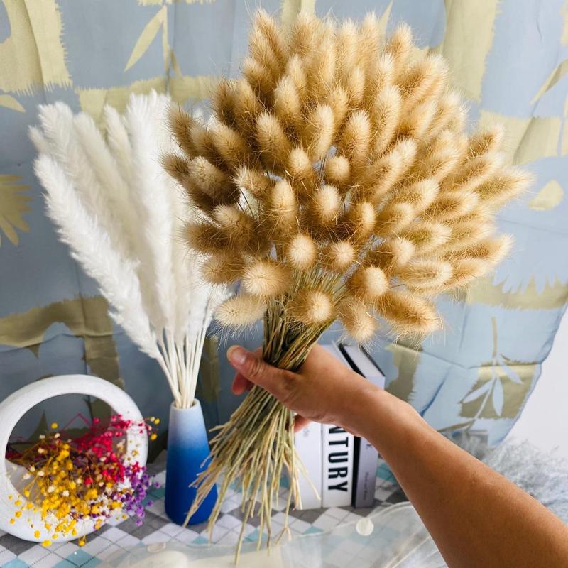 Natural Dried Pampas Grass (100pcs), Home Decorative Grass, Dried Pampas Grass for Home Table Decoration, Party Decor, Room Decor, Room Accessories 5
