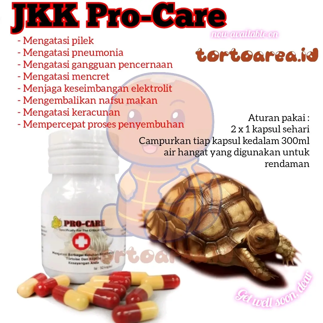 JKK Pro Care Ecer / Botol - Obat Sakit Lemas Kura Darat Sulcata Pardalis