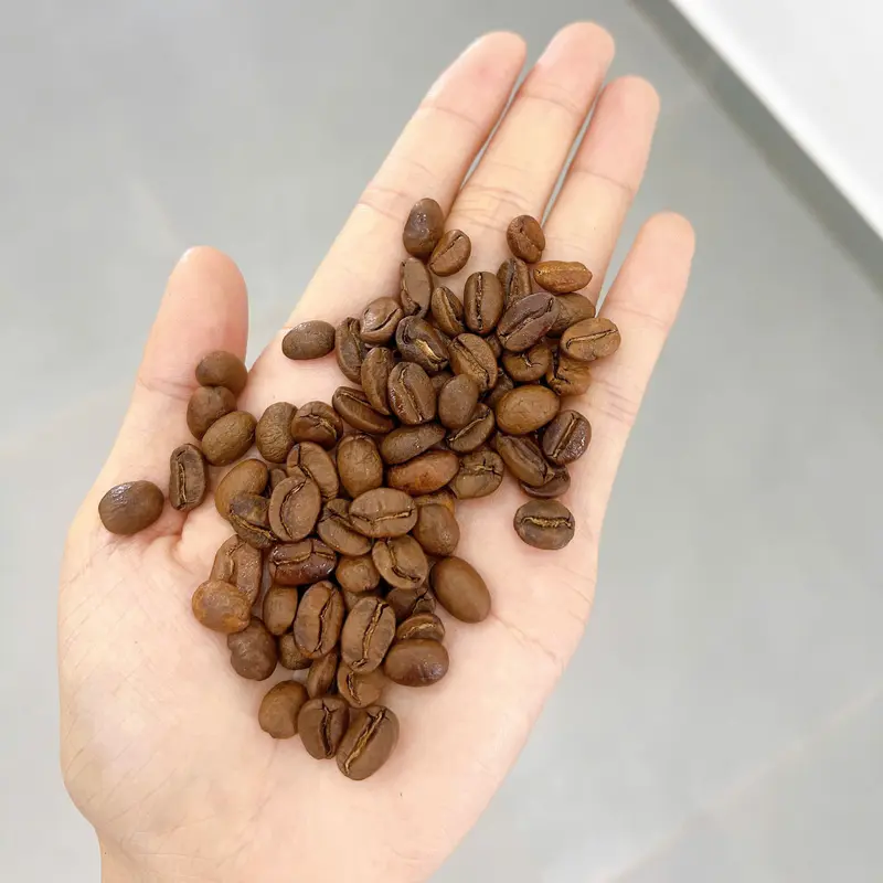Túi Thơm Hạt Cà Phê Nguyên Chất - Khửi mùi, hút ẩm - Túi thơm dịu, treo xe Ô tô, tủ quần áo, tủ giày, hương thơm tự nhiên 3