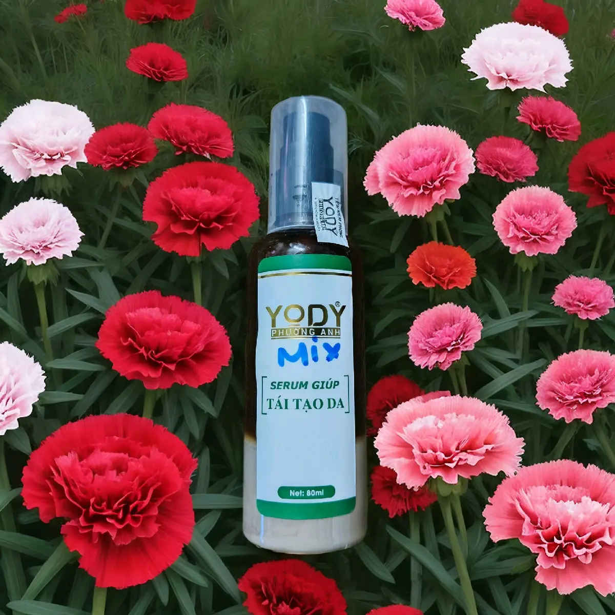 Tái tạo Mix sẵng PHƯƠNG ANH