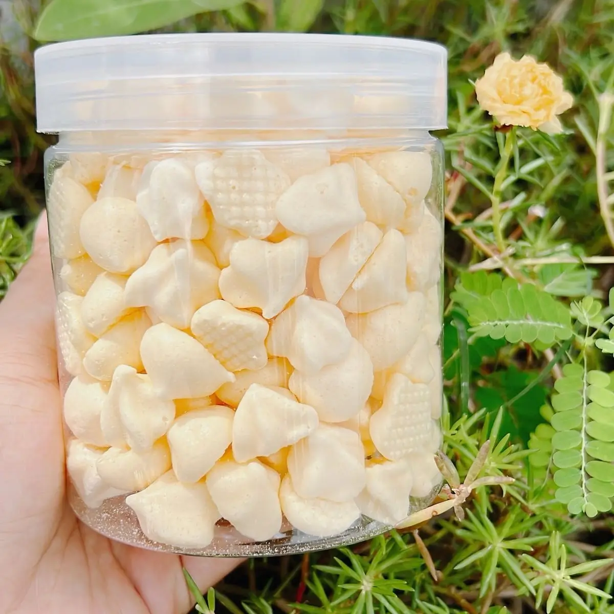 Bánh SC  Nguyên Vị  [ Ăn Dặm Cùng Mẹ Min ] Snack Food Ăn Vặt Snack Food Thức Ăn Muối banh keo banh  gaun