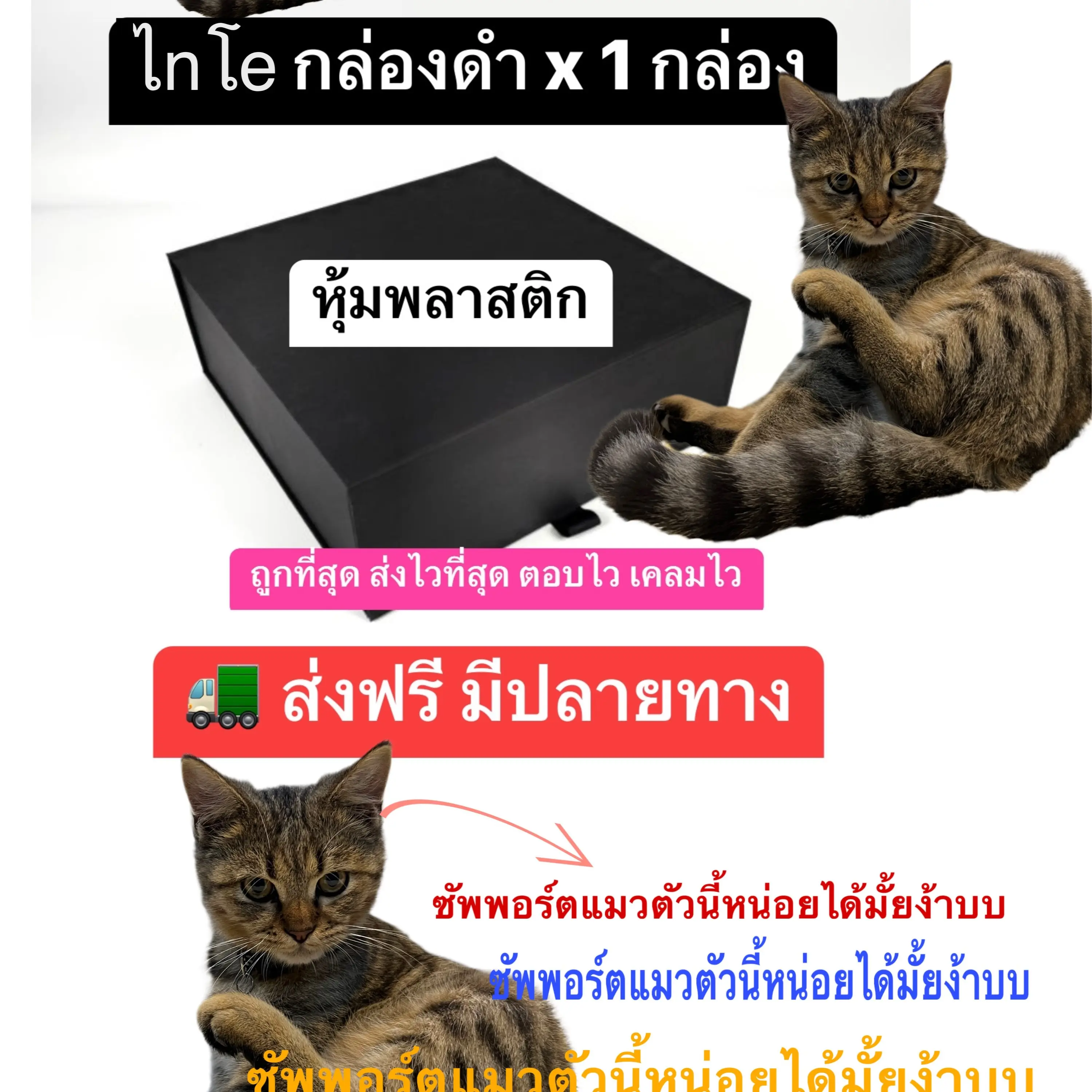 tnโs กล่องดำ x 1 กล่อง แบบมีพลาสติกหุ้ม